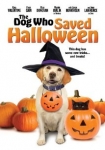 Ein Hund rettet Halloween