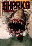 Shark in Venice